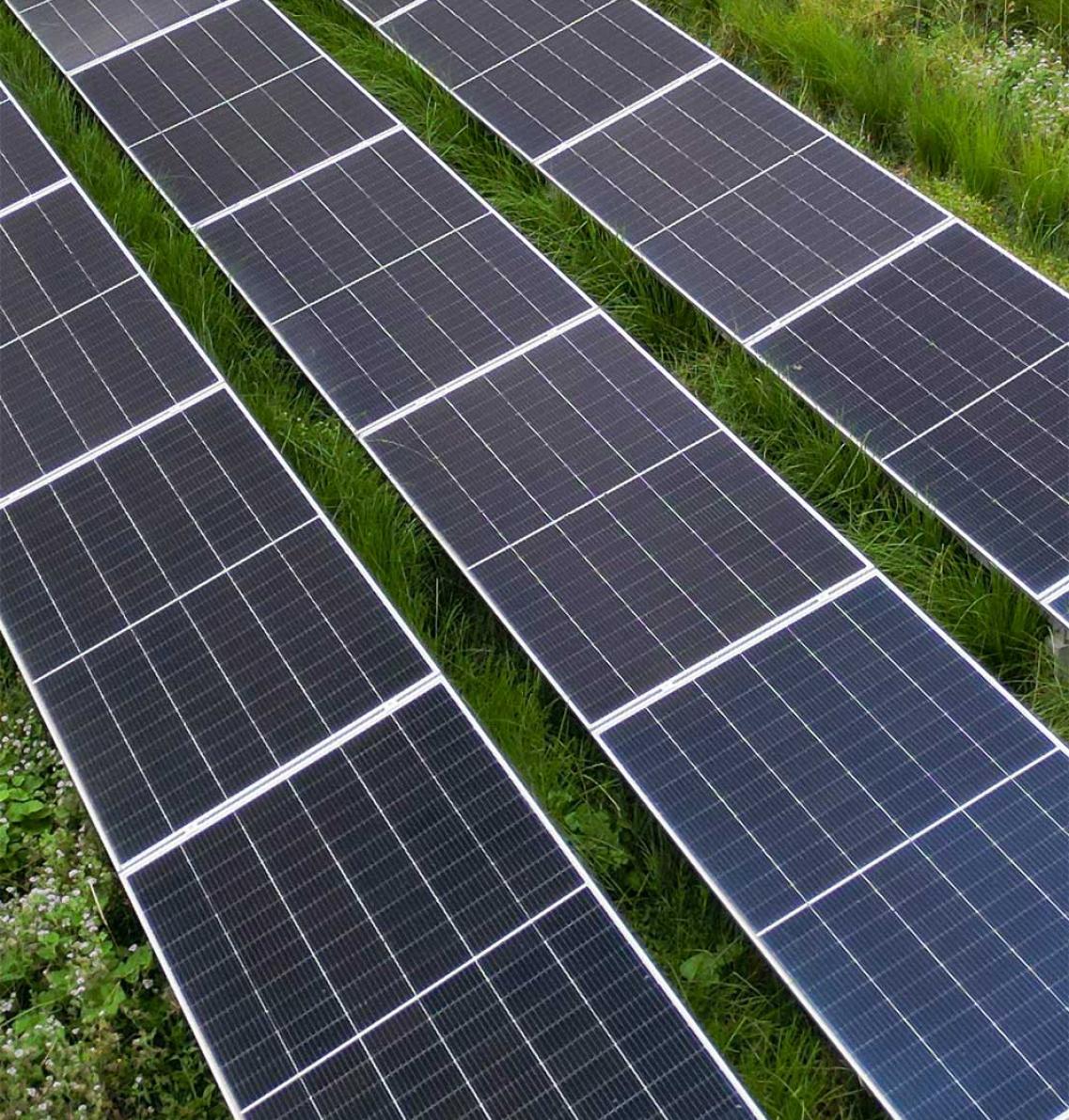 Bio solar installed on a roof