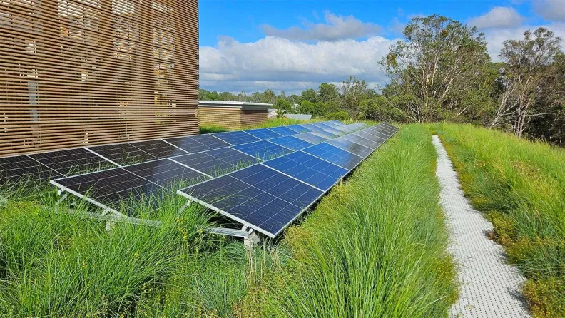 Solar panels and green roof