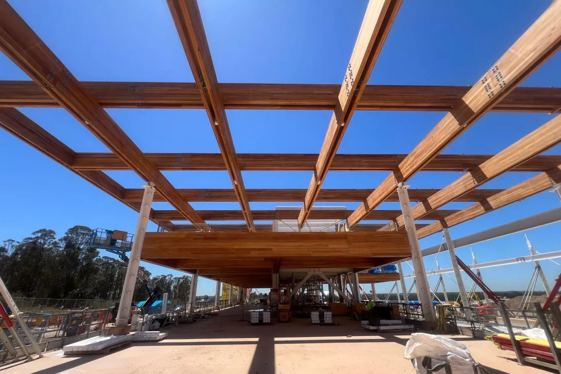 First Building under construction showing the early stage of the frame looking skywards
