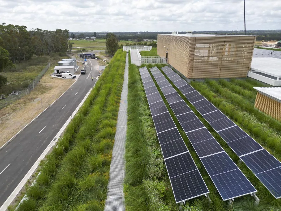 Solar panels and green roof